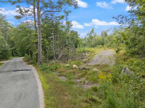 Lot #1 Sanborn Road, Newfield, ME 04095