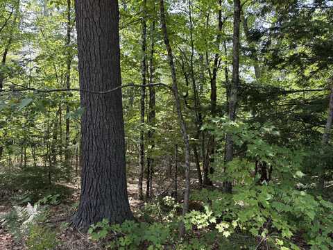 Lot 3 Meadow Road, Casco, ME 04015