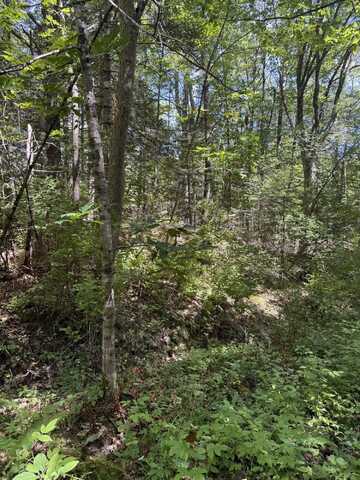 Lot 59 Carding Machine Road, Bowdoinham, ME 04008