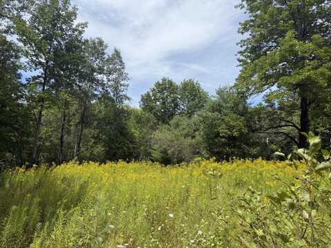 Lot 14 Dead River Road, Bowdoin, ME 04287