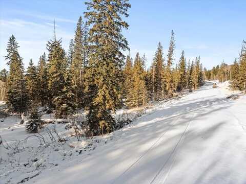 Lot 2 Block 1 Lost Camp Trail, Lead, SD 57754