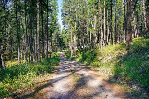 176 Murray Ridge Road, Whitefish, MT 59937