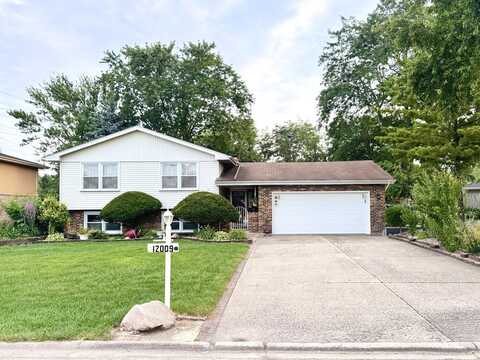 12009 Venetian Way, Orland Park, IL 60467