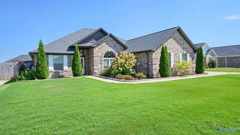 13697 Callaway Drive, Madison, AL 35756