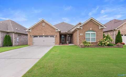 112 Summer Walk Lane, Harvest, AL 35749