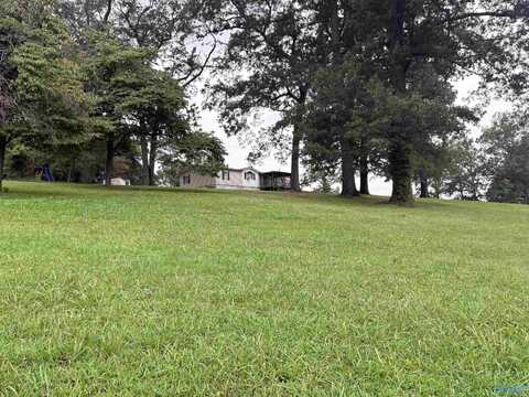 801 8th Street, Bridgeport, AL 35740