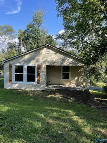 1329 Carlisle Avenue, Guntersville, AL 35976