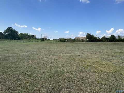 Lot 12 Walter Lee Drive, Athens, AL 35613