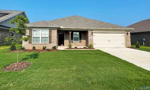 126 Beaver Brook Place, Toney, AL 35773