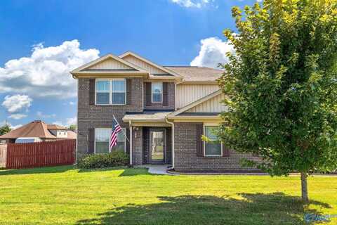 376 Charley Patterson Road, New Market, AL 35761