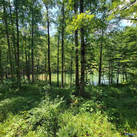 Lot 25 Legendary Parkway, Arley, AL 35541
