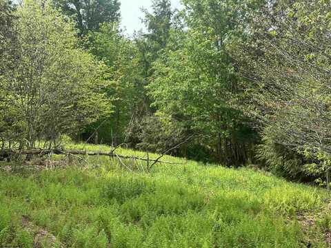 Lot 19 Casentino Court, Davis, WV 26260