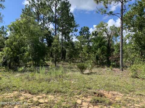VICTORIA Avenue, Interlachen, FL 32148