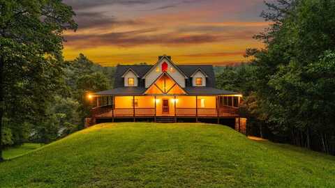 661 Toccoa River Forest, Mineral Bluff, GA 30559