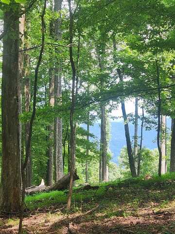 Lt M212e Walnut Ridge, Ellijay, GA 30540