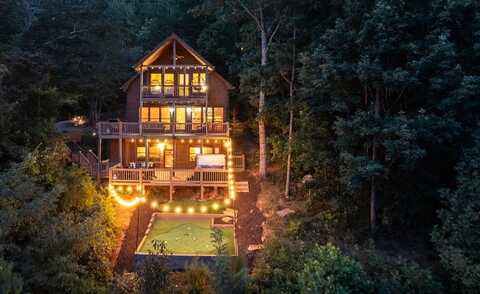 31 The Kings Court, Cherry Log, GA 30522