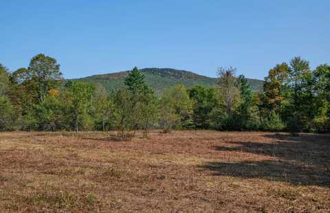 00 Station Road, Mount Holly, VT 05758