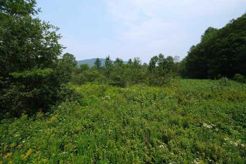 00 Station Road, Mount Holly, VT 05758
