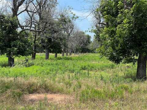 1336 Cirrus Loop, Granbury, TX 76049