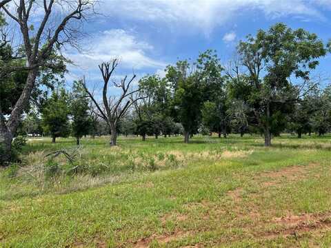 1730 Cirrus Loop, Granbury, TX 76049
