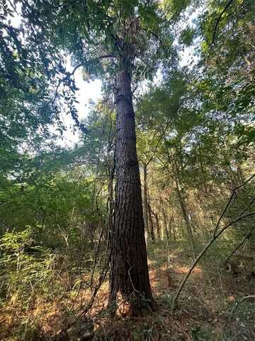 Tbd FM 44 E, De Kalb, TX 75559
