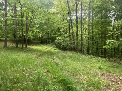 1180 LITTLE TRACE RUN RD, Exchange, WV 26619