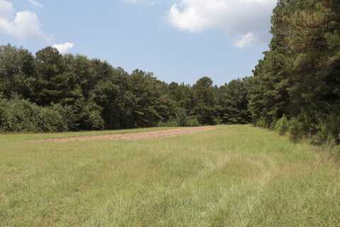 0 County Road 350, Clanton, AL 35045