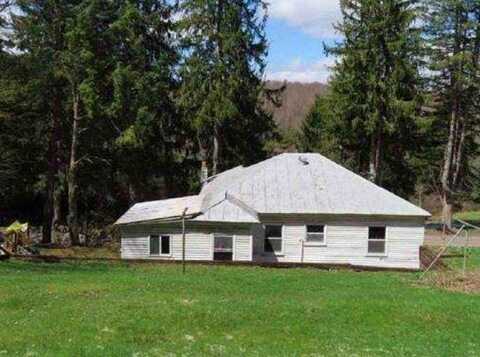 486 Spruce St, Thomas, WV 26292