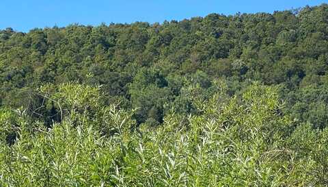 00 County Hwy 14, East Meredith, NY 13757