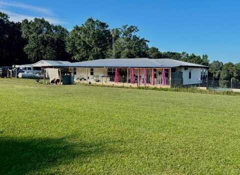 36015, Dozier, AL 36028