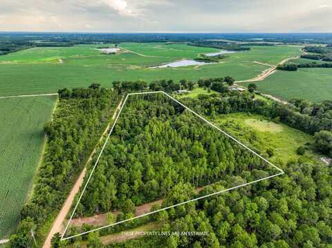 10+/- Acres Thurman Rd, Samson, AL 36477