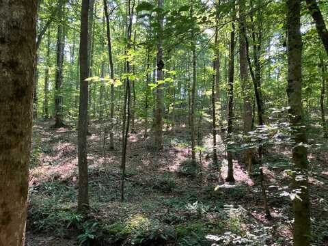 262 Daniel Rd, Kellyton, AL 35089