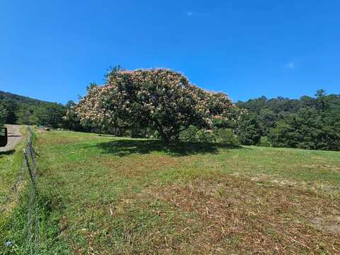 3176 Mountain View Rd, Purgitsville, WV 26852