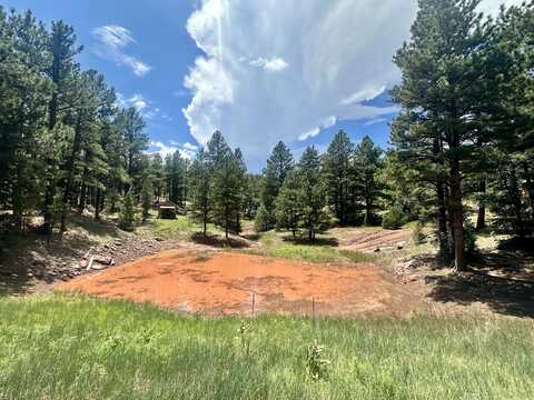 0 Coyote Road, Rainsville, NM 87736