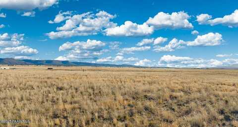 00 N Wild Mountain Way, Paulden, AZ 86334