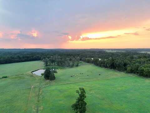 000 An County Road 169, ELKHART, TX 75839