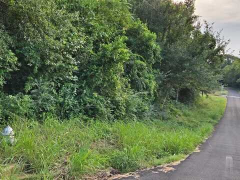 0 S Magnolia, PALESTINE, TX 75801