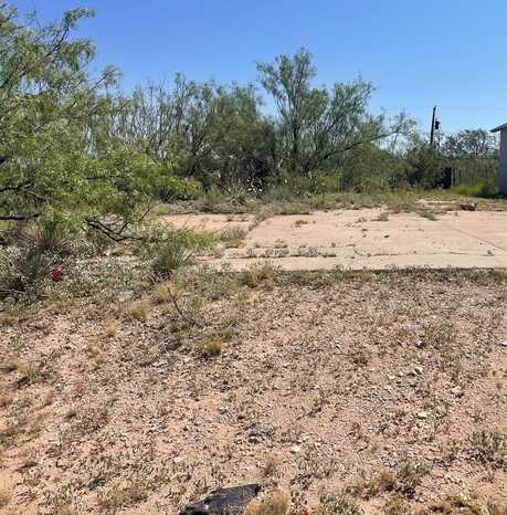601 Goliad, Big Spring, TX 79720