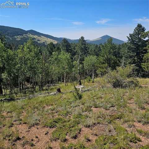 1398 May Queen Drive, Cripple Creek, CO 80813