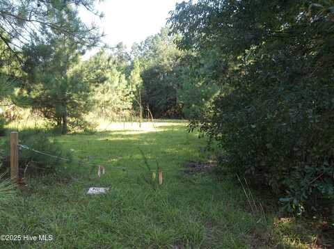 0 Morgan Road, Candor, NC 27229