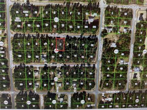 3878 W Fantasy Lane, Dunnellon, FL 34433