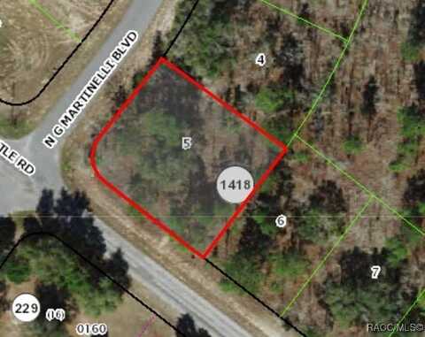 10429 N G Martinelli Boulevard, Citrus Springs, FL 34433