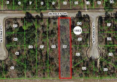 1142 W Riley Drive, Citrus Springs, FL 34434