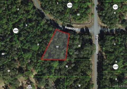 8264 N Orton Way, Citrus Springs, FL 34434