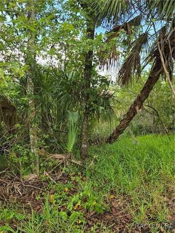 10894 W Larchwood Street, Homosassa, FL 34448