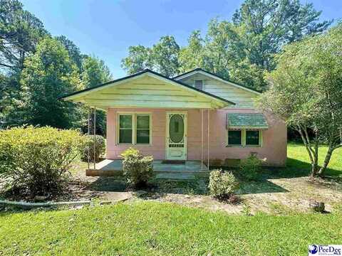 2232 William Gibbons Rd, Turbeville, SC 29162