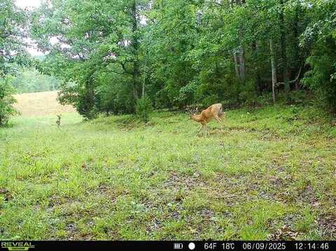 1234 Cornette Road, Greenville, KY 42345