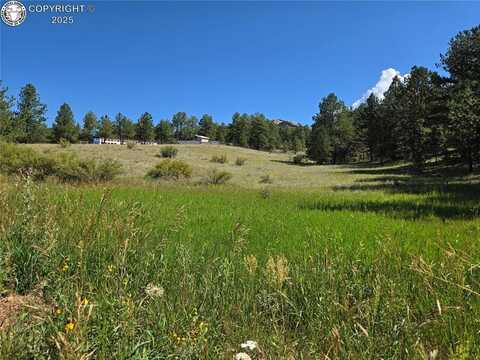 144 Cheyenne Way, Florissant, CO 80816