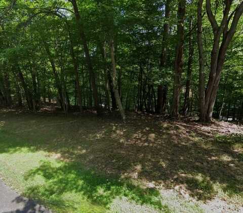 Lot 77 Land Harbor LN, Moneta, VA 24121