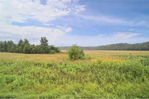 Tbd Mill Road, Brainerd, MN 56401
